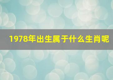 1978年出生属于什么生肖呢