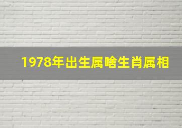 1978年出生属啥生肖属相