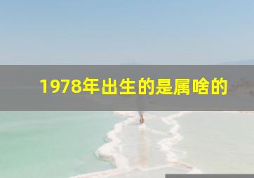 1978年出生的是属啥的