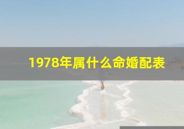 1978年属什么命婚配表