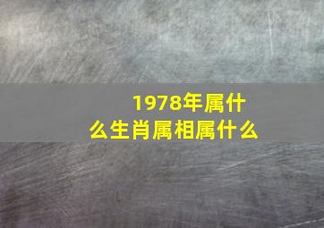 1978年属什么生肖属相属什么