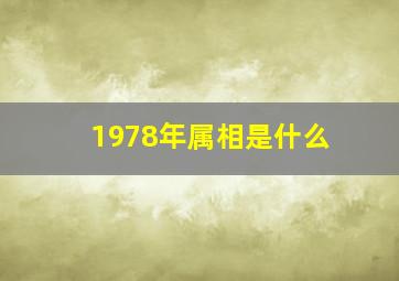 1978年属相是什么