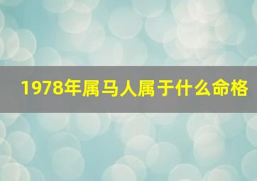 1978年属马人属于什么命格