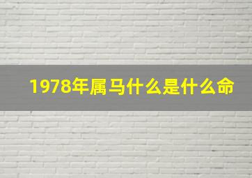 1978年属马什么是什么命