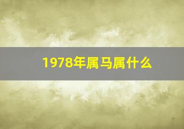 1978年属马属什么