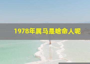 1978年属马是啥命人呢