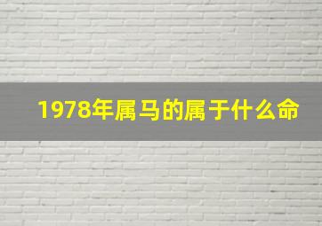 1978年属马的属于什么命