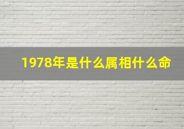 1978年是什么属相什么命