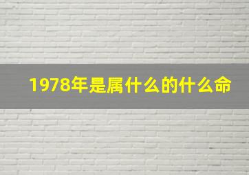 1978年是属什么的什么命