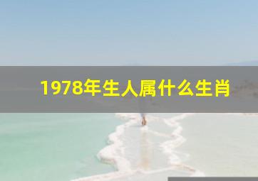 1978年生人属什么生肖