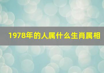 1978年的人属什么生肖属相