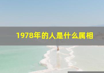 1978年的人是什么属相