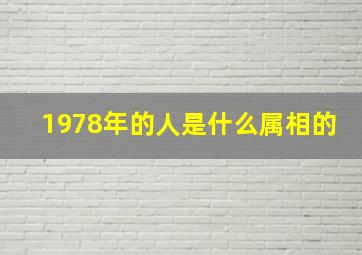 1978年的人是什么属相的