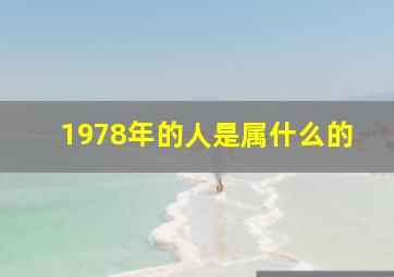 1978年的人是属什么的