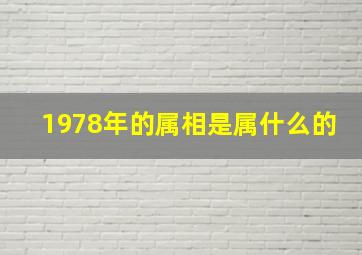 1978年的属相是属什么的