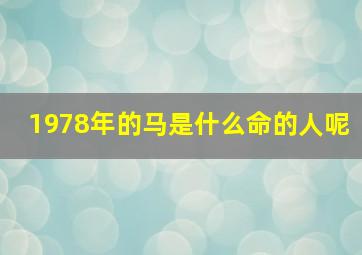 1978年的马是什么命的人呢