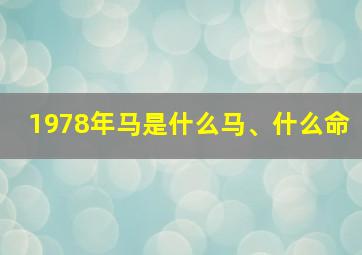 1978年马是什么马、什么命