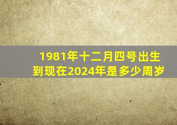 1981年十二月四号出生到现在2024年是多少周岁