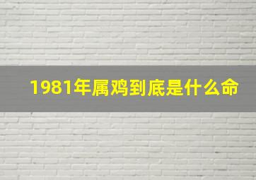 1981年属鸡到底是什么命