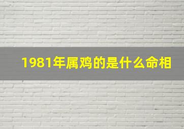 1981年属鸡的是什么命相