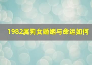 1982属狗女婚姻与命运如何