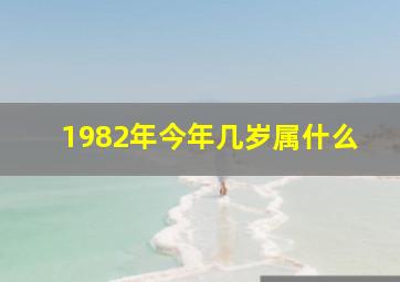 1982年今年几岁属什么