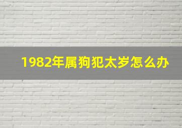 1982年属狗犯太岁怎么办