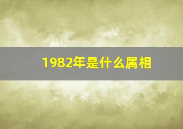 1982年是什么属相