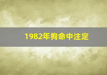 1982年狗命中注定