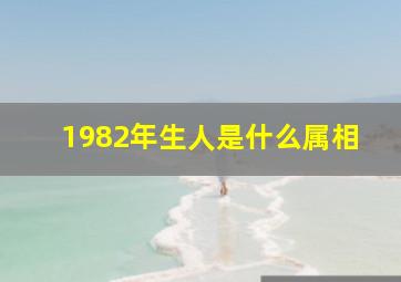 1982年生人是什么属相