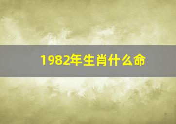 1982年生肖什么命