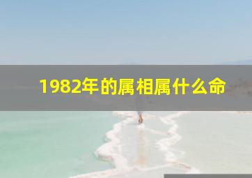 1982年的属相属什么命