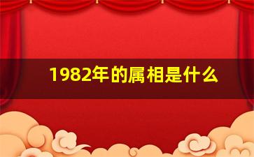 1982年的属相是什么