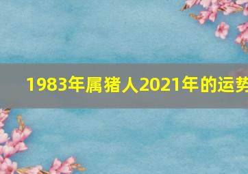 1983年属猪人2021年的运势