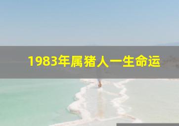 1983年属猪人一生命运