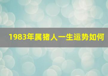 1983年属猪人一生运势如何