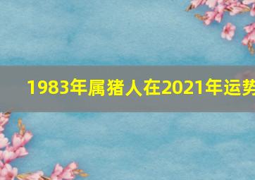 1983年属猪人在2021年运势