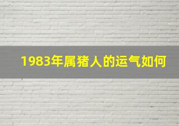 1983年属猪人的运气如何