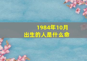 1984年10月出生的人是什么命