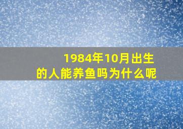 1984年10月出生的人能养鱼吗为什么呢