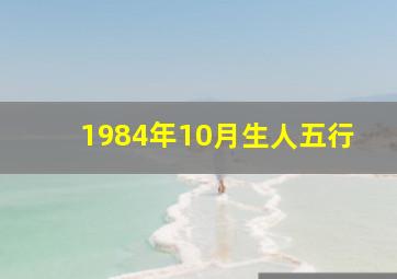 1984年10月生人五行