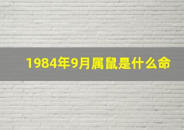 1984年9月属鼠是什么命