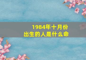 1984年十月份出生的人是什么命