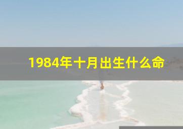 1984年十月出生什么命