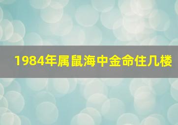 1984年属鼠海中金命住几楼