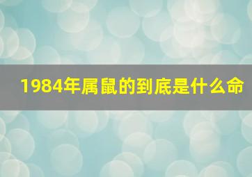 1984年属鼠的到底是什么命