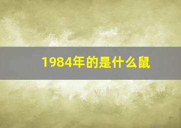 1984年的是什么鼠