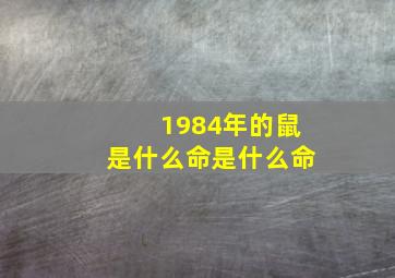 1984年的鼠是什么命是什么命