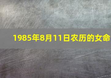 1985年8月11日农历的女命