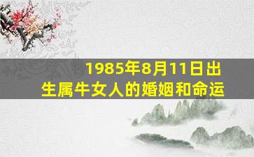 1985年8月11日出生属牛女人的婚姻和命运